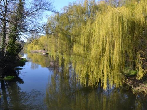 Bridge House B&B Coltishall Luaran gambar